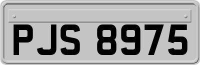 PJS8975