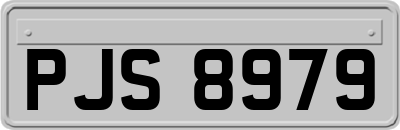 PJS8979