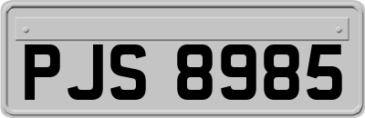 PJS8985