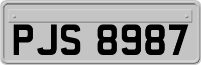 PJS8987