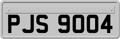 PJS9004