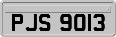 PJS9013