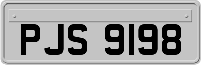 PJS9198