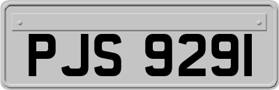 PJS9291