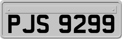 PJS9299