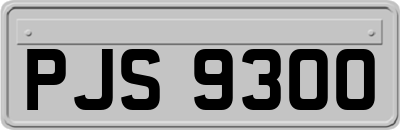 PJS9300