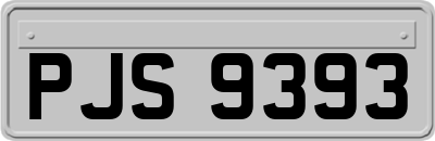 PJS9393