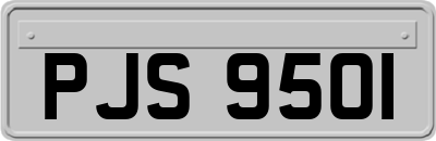 PJS9501