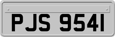 PJS9541