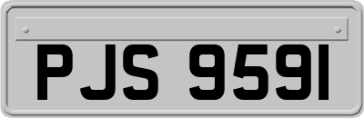 PJS9591