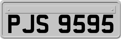 PJS9595