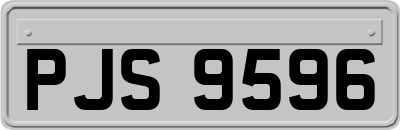 PJS9596