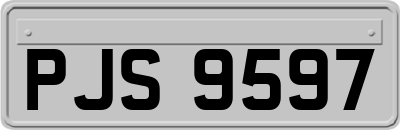 PJS9597