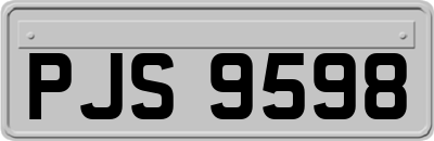 PJS9598