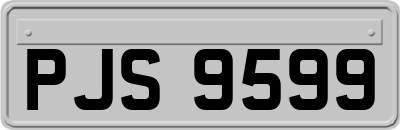 PJS9599