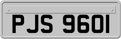 PJS9601
