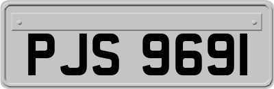 PJS9691