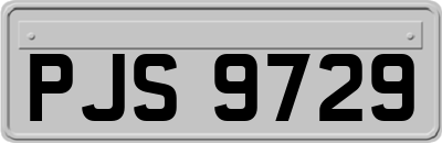 PJS9729
