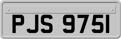 PJS9751