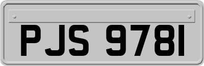 PJS9781