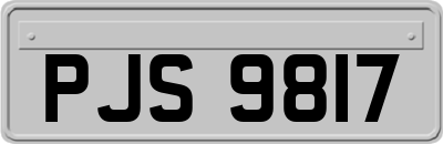 PJS9817