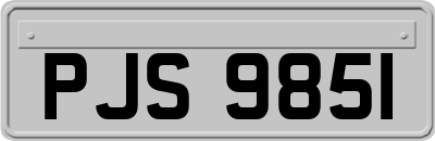 PJS9851