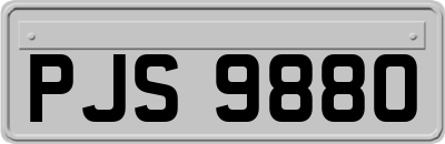 PJS9880