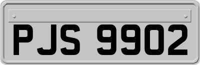 PJS9902