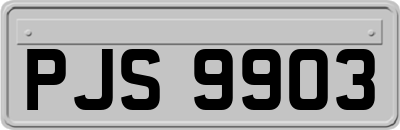 PJS9903