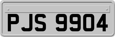 PJS9904