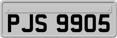 PJS9905