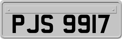 PJS9917