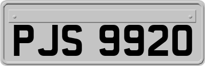 PJS9920
