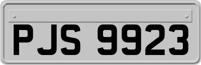 PJS9923