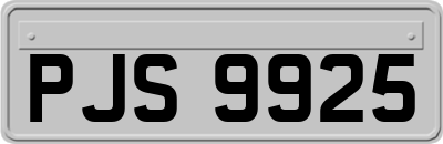 PJS9925