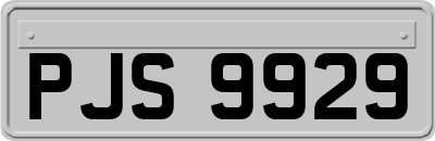 PJS9929