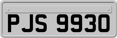 PJS9930