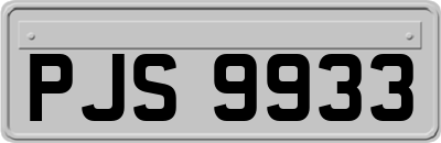 PJS9933
