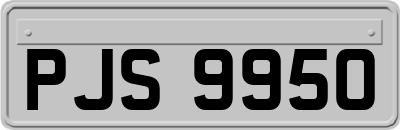 PJS9950