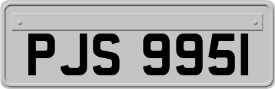 PJS9951