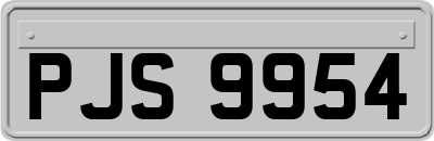 PJS9954