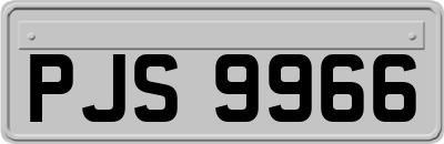 PJS9966