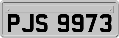 PJS9973