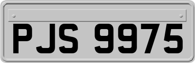 PJS9975
