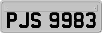 PJS9983