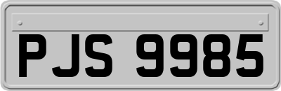 PJS9985