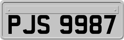 PJS9987