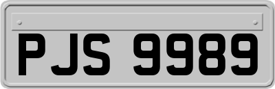 PJS9989