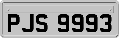 PJS9993