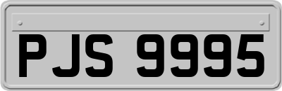 PJS9995
